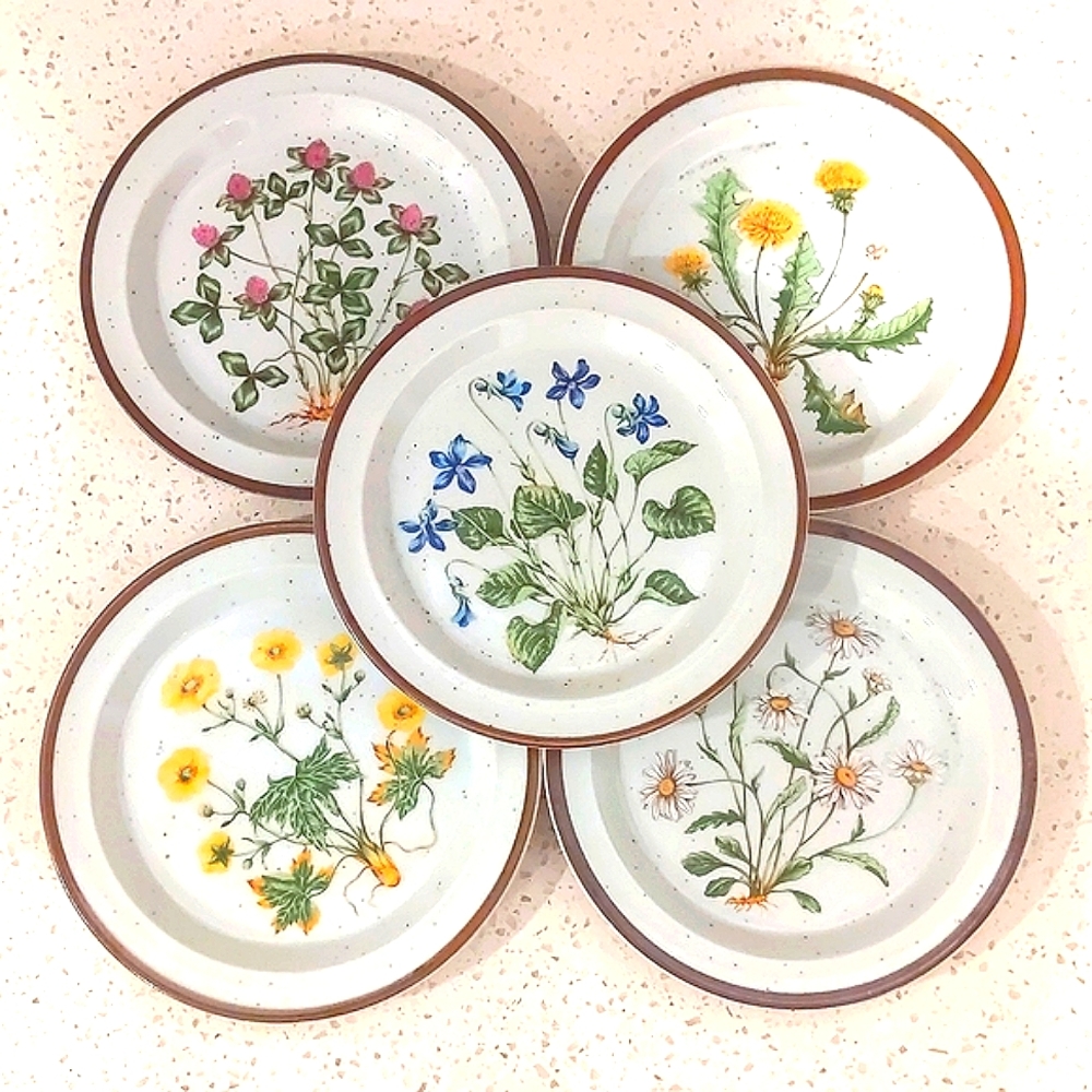 Set of 5 Floral Flecked Stoneware Plates - Crafted in Japan